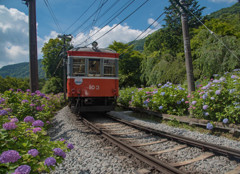 箱根登山鉄道4