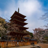 長谷寺