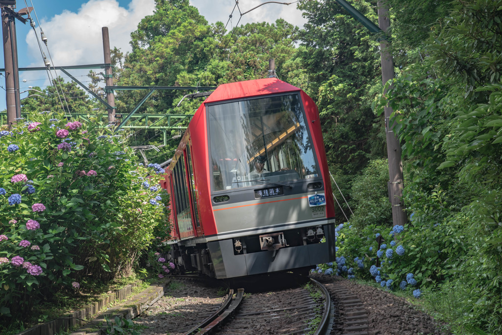 箱根登山鉄道2