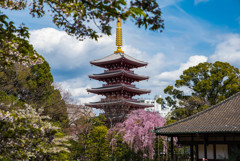 浅草寺　伝法院2