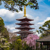 浅草寺　伝法院2