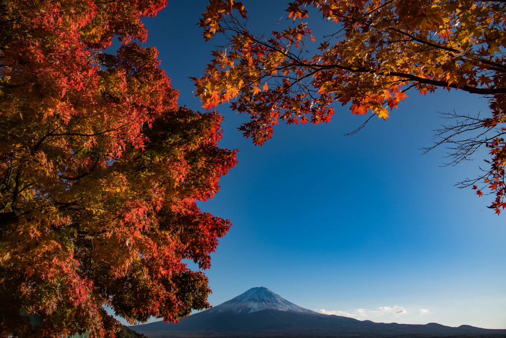 富士山7