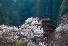 長谷寺3