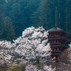 長谷寺3