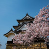 彦根城3