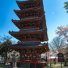 上野五重塔2