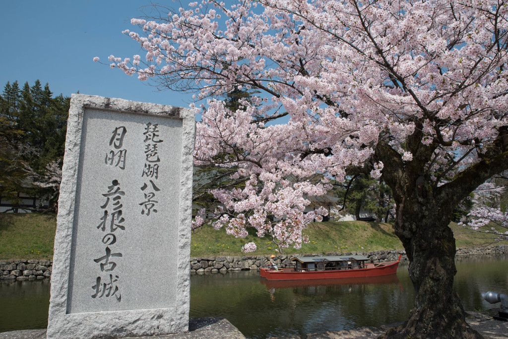 彦根城2彦根城 