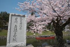 彦根城2彦根城 