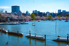 上野公園