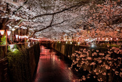 目黒川３夜景