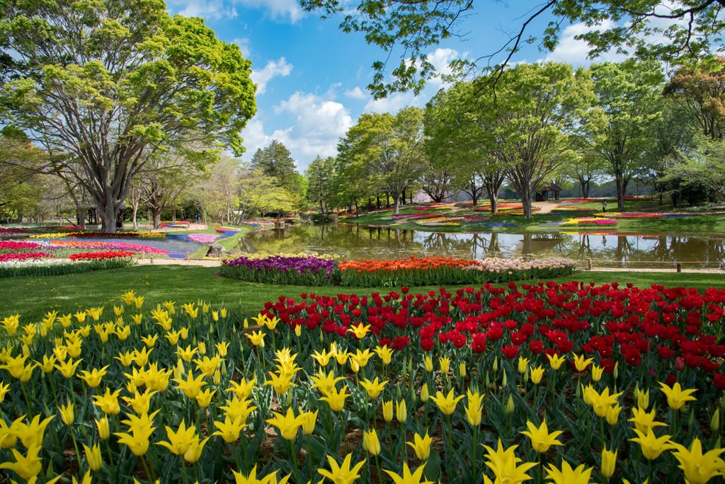 昭和記念公園