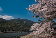 渡月橋