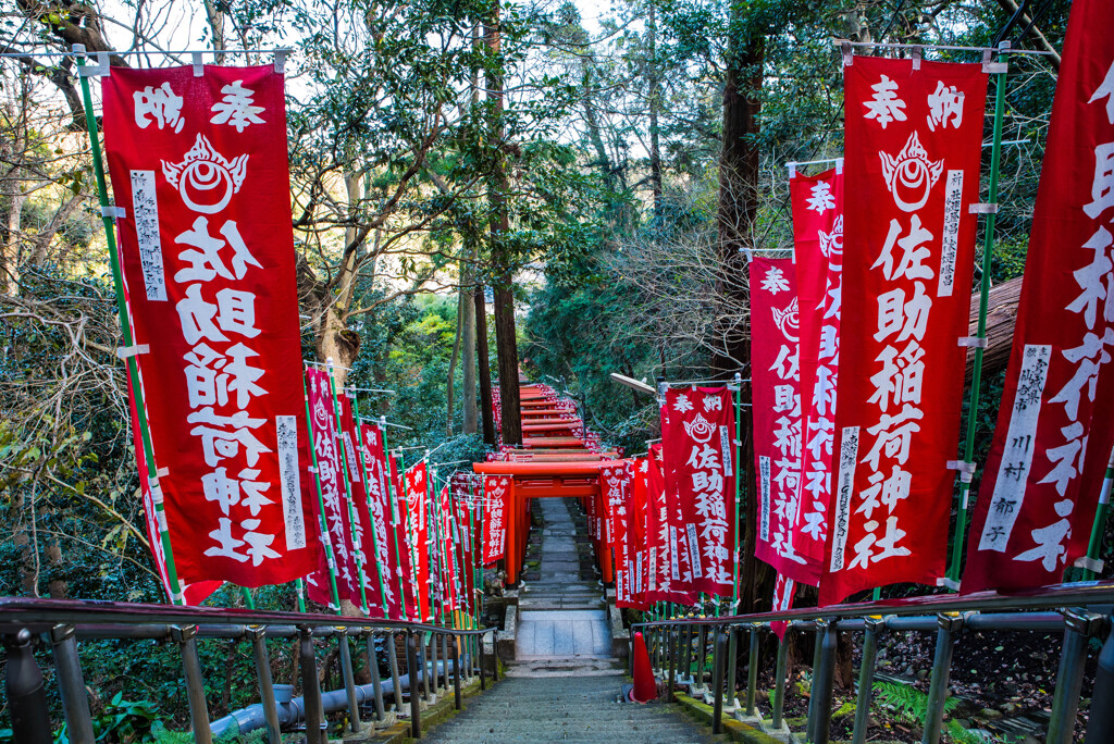 佐助稲荷神社2