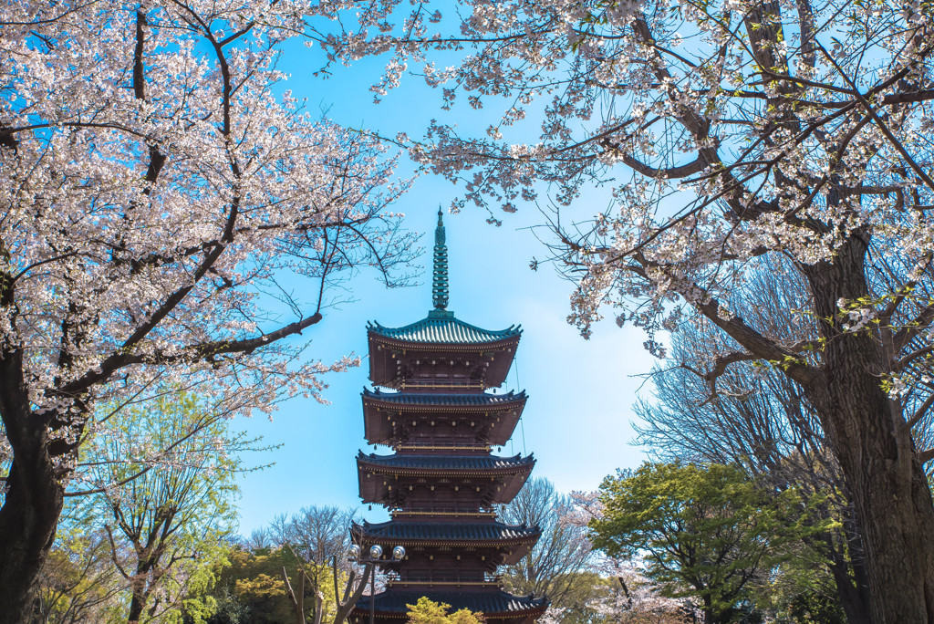 上野五重塔