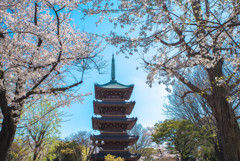上野五重塔