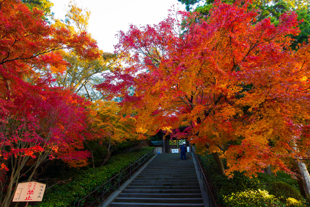 円覚寺2