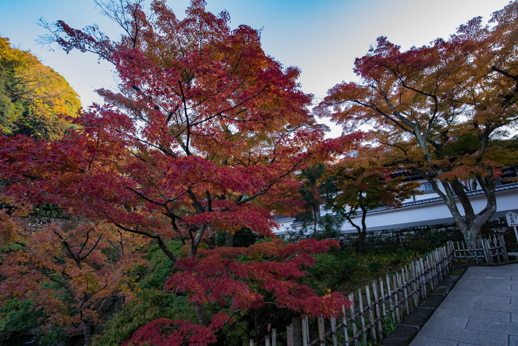 円覚寺7