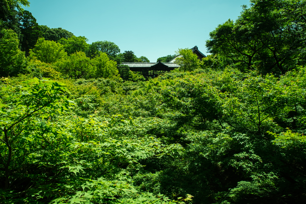 東福寺3