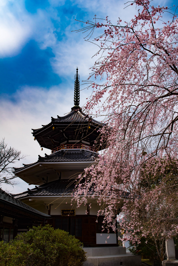 吉野山2