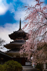 吉野山2