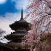 吉野山2