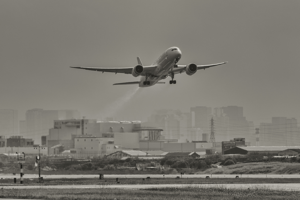 DSC_4842-Edit
