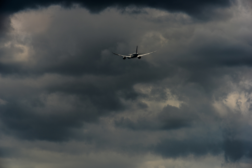 DSC_0779