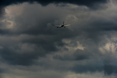 DSC_0779
