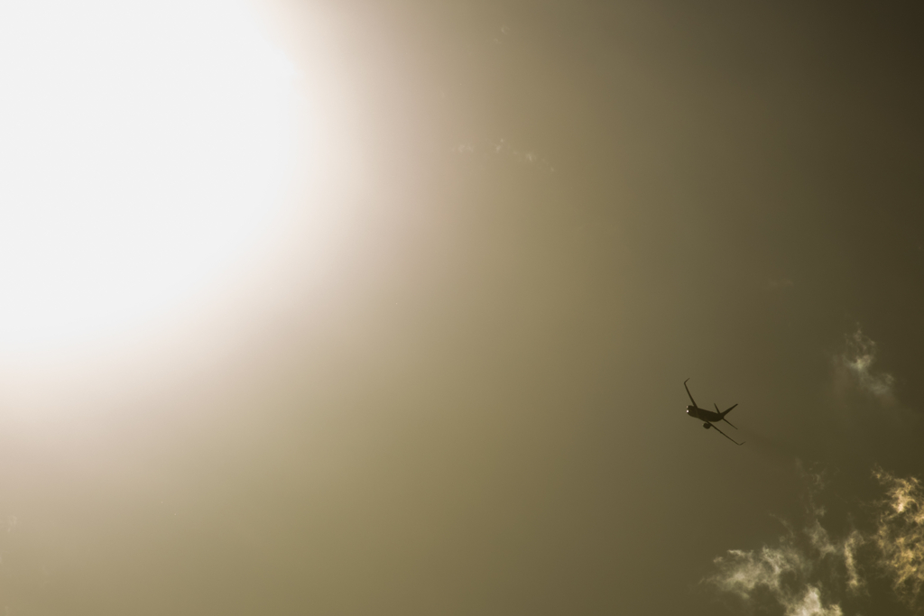 DSC_5182 (1)