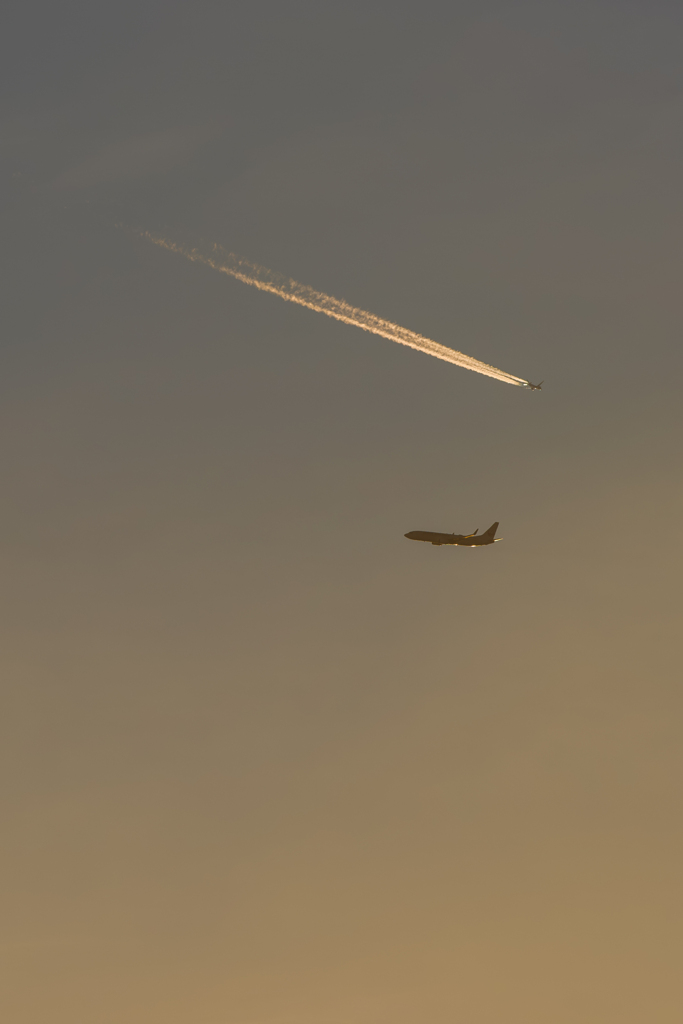 DSC_6188