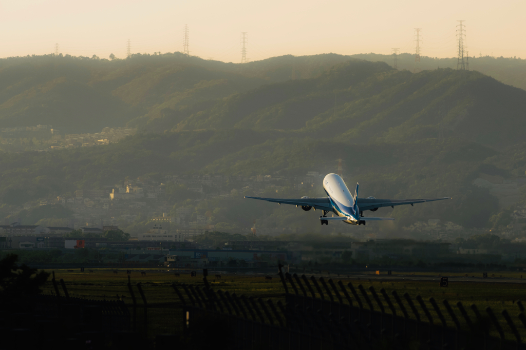 DSC_9799 (1)