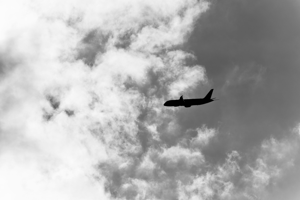 DSC_9211 (1)