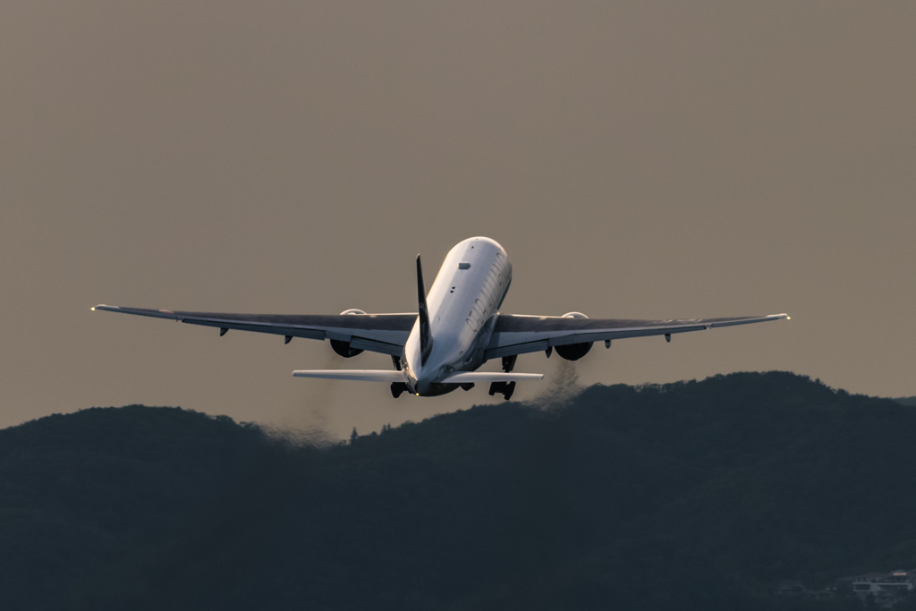 DSC_7550