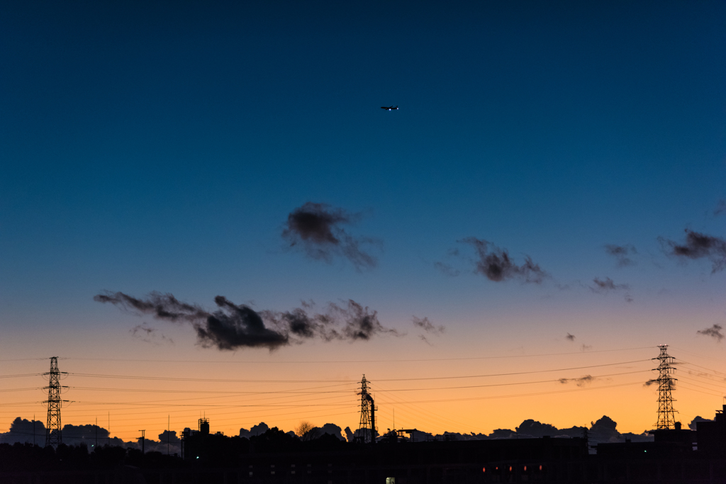 DSC_2906