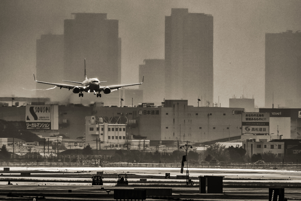 DSC_7912-Edit