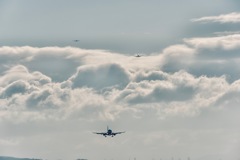 DSC_1272-Edit-2-Edit-Edit-Edit-Edit