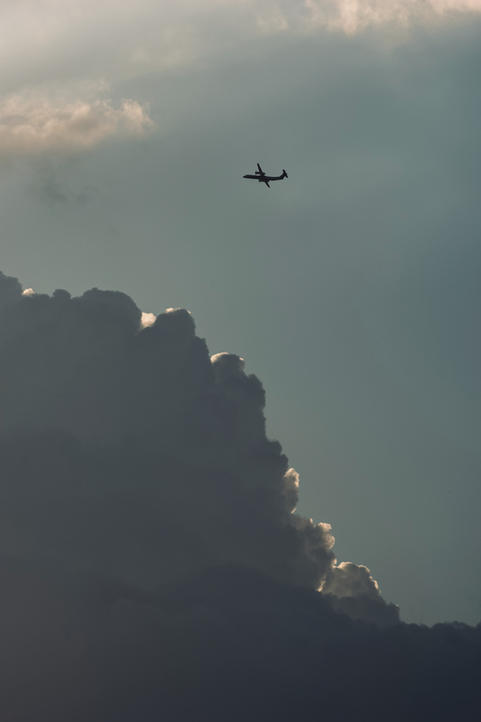 DSC_5566 (1)