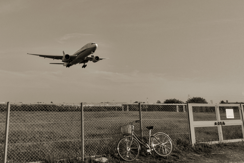 DSC00456-Edit-2