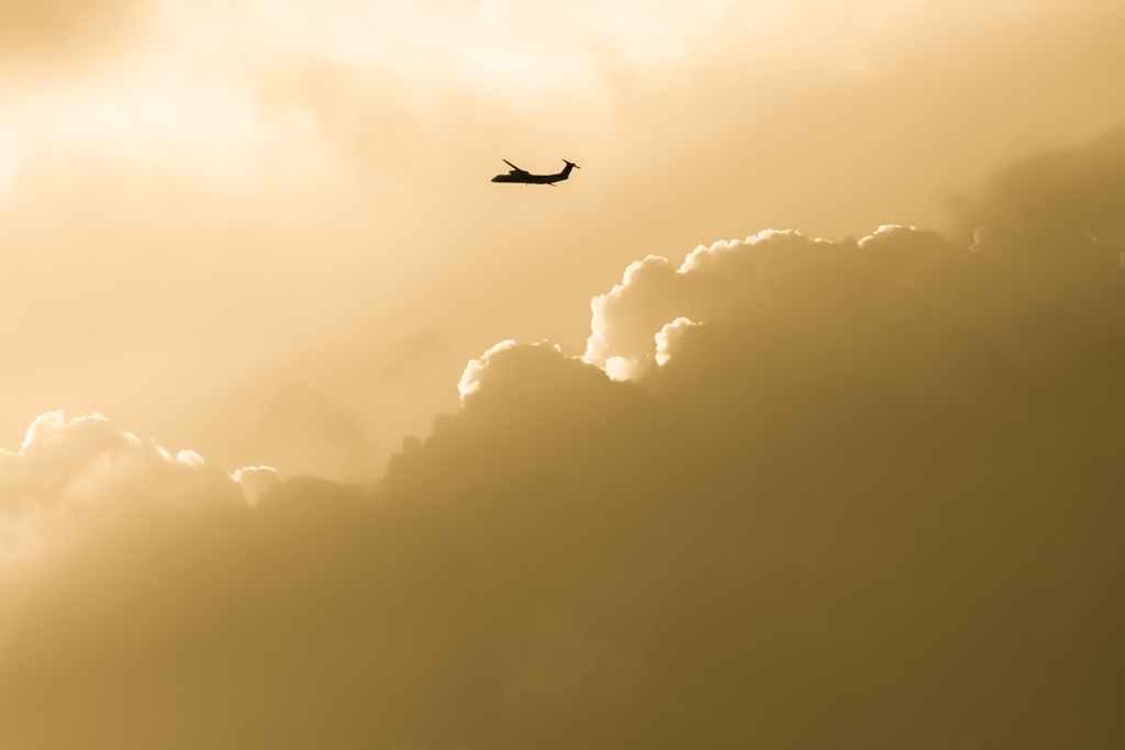 DSC_5573-Edit
