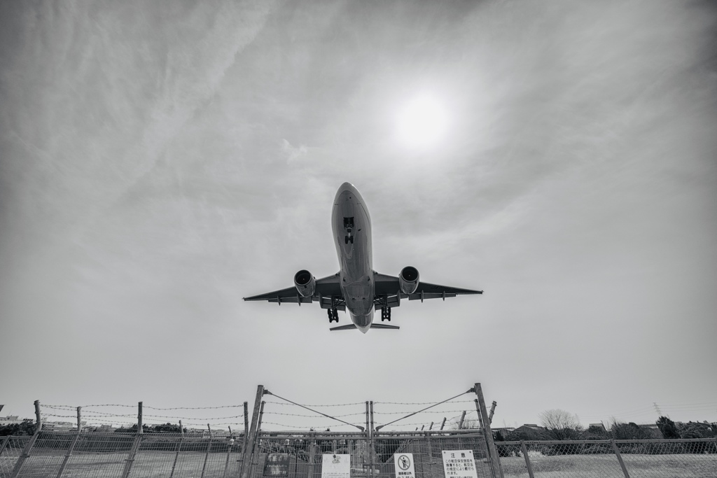 fullsizeoutput_7637