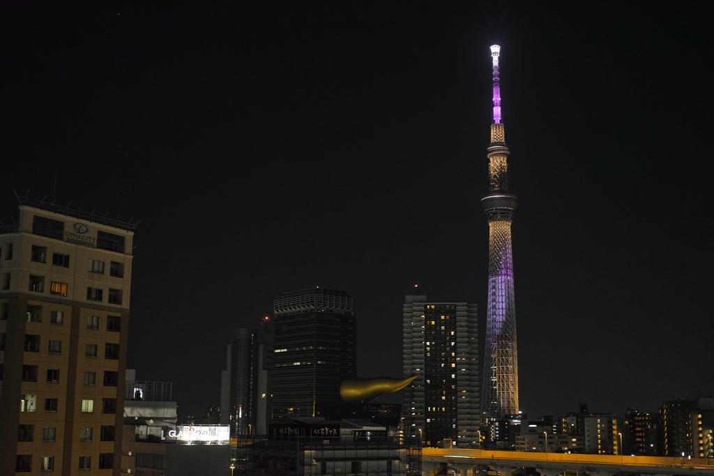 浅草から見る夜のスカイツリー