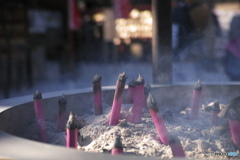 上野、寛永寺にて（初春）