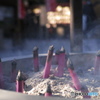 上野、寛永寺にて（初春）