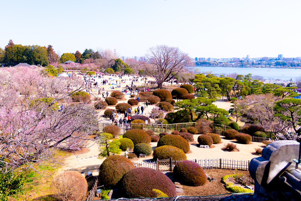 偕楽園梅祭り