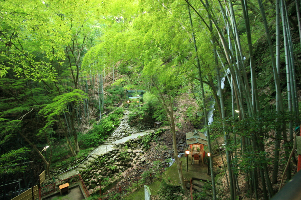 湯河原 不動滝