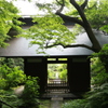 鎌倉 苔寺 妙法寺