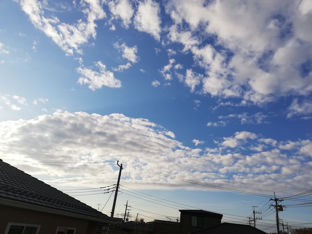 天気よい　気持ちが落ち着きますね