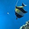水族館