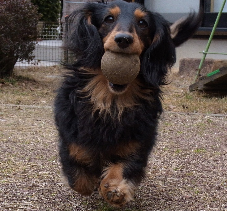 元気いっぱい！