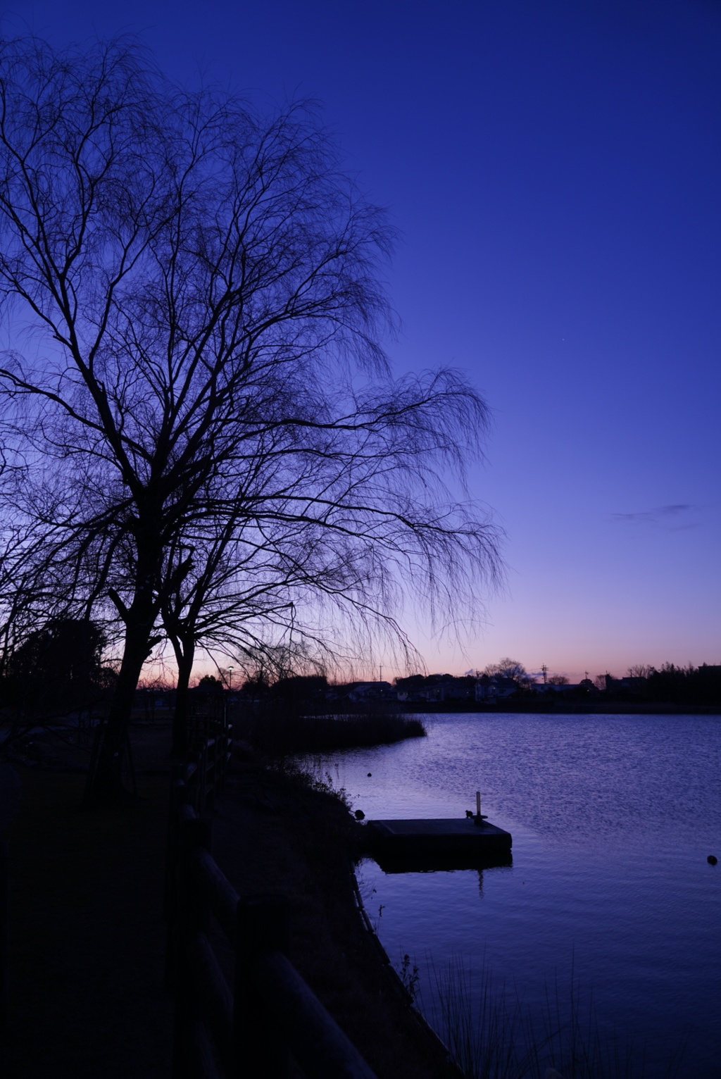 冬、夜明けの公園
